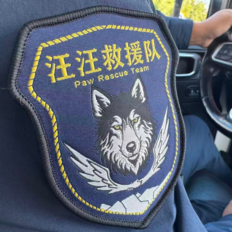 E862.汪汪队:7 年我们救出了 270 人